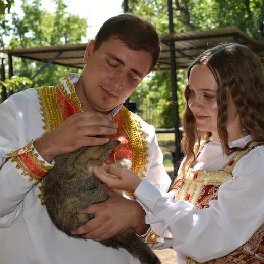 Фотография Без кота и жизнь не та | Ольга Владимировна Аникина