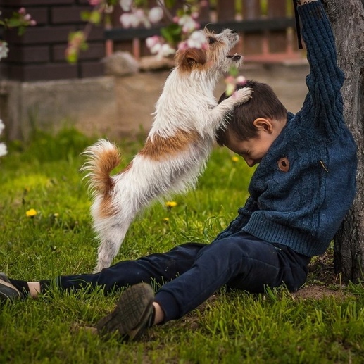 Фотография ... ко мне Мухтар ... | Дмитрий Викторович Сундеев
