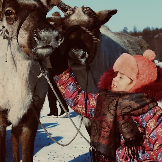 Фотография День Оленевода. Первое знакомство. | Анна Сергеевна Андреевская