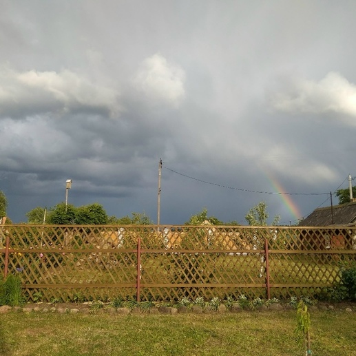 Фотография Перед грозой | Елена юрьевна Антонова