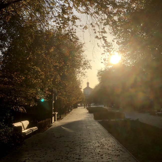 Фотография Дорога к храму | Анна Михайловна Соколова