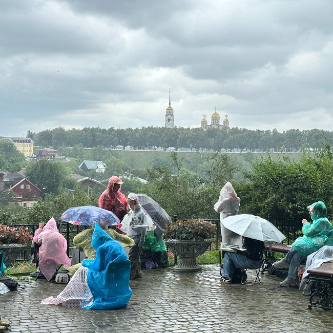 Фотография Под дождем | Светлана Сергеевна Вожейко