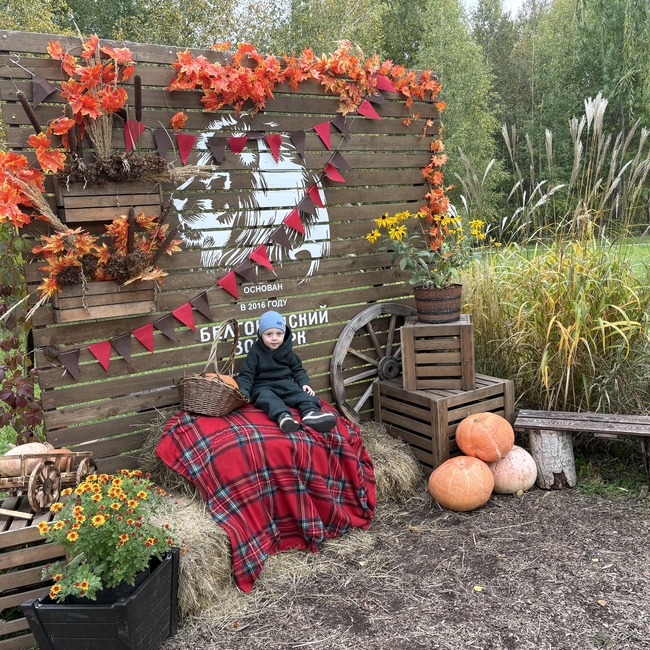 Фотография Осенние мотивы | Ирина Викторовна Завгородняя