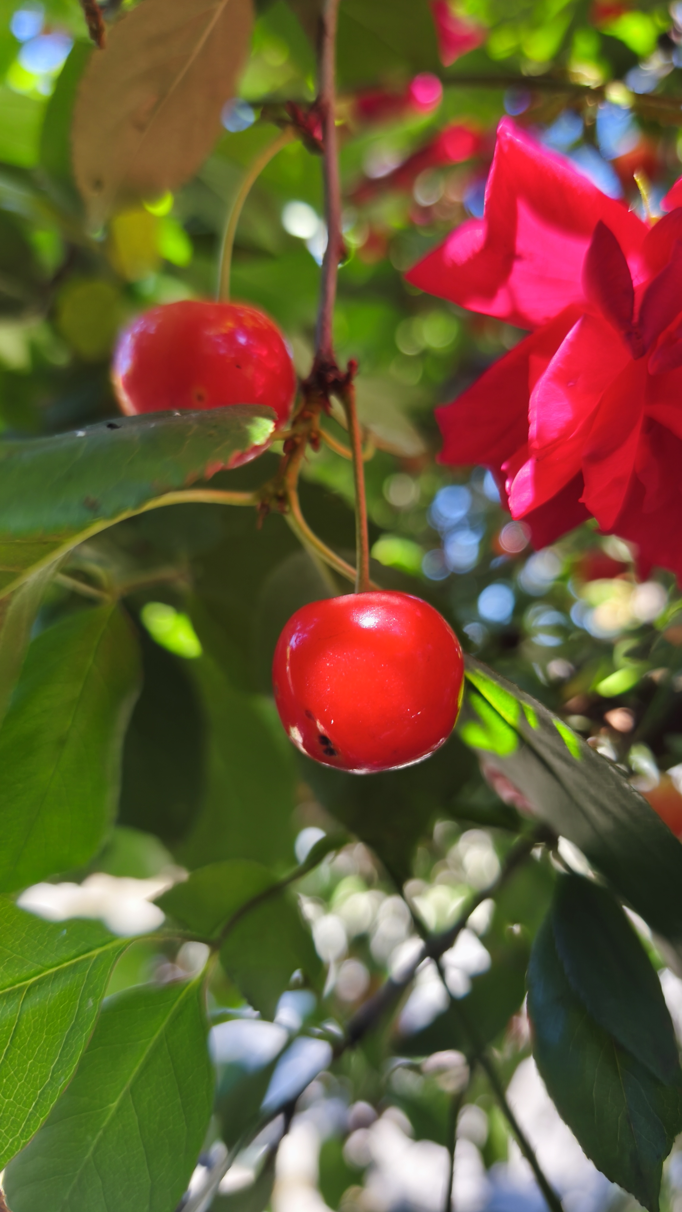 IMG_20260613_103840