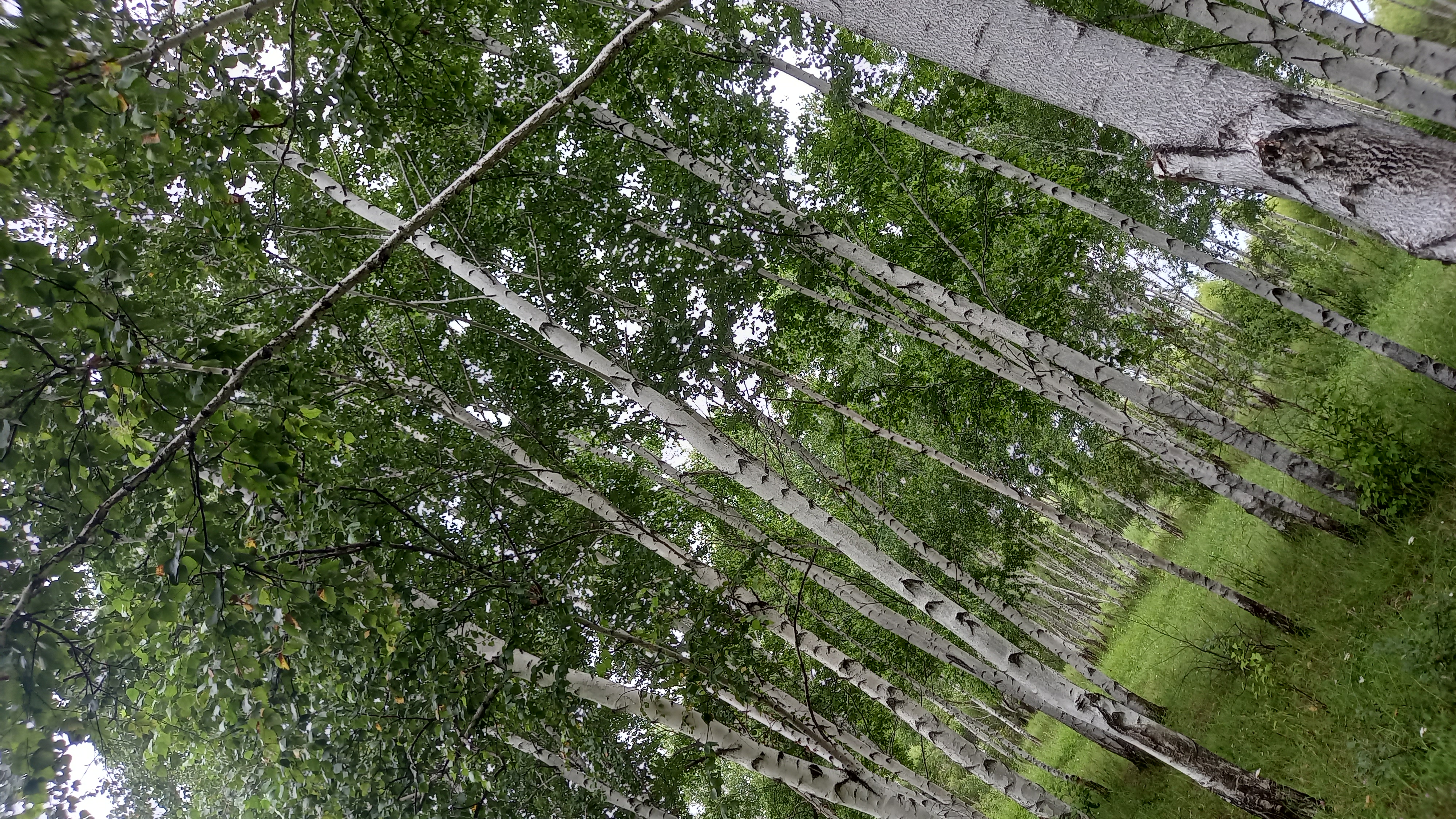 20260727_093713