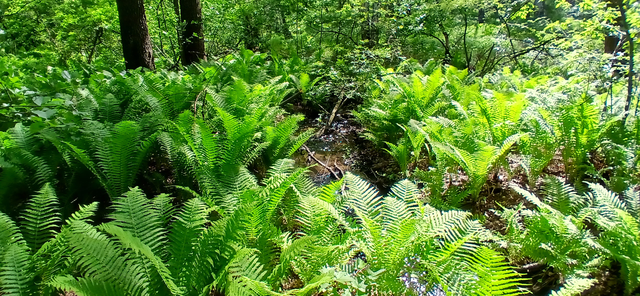 20260528_154347