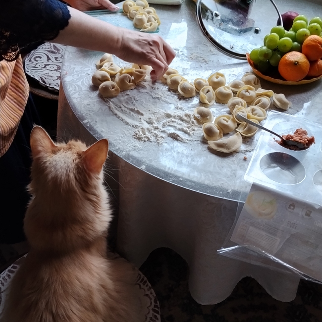 Фотография Домашний уют | Дарья Игоревна Денисенко